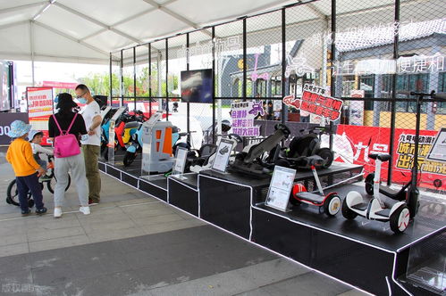 互聯(lián)網(wǎng)電動車 服務(wù)光環(huán)下的實體工廠與購車迷思